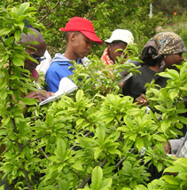Learning in the field