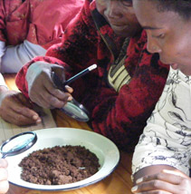 Locals inspect a crop