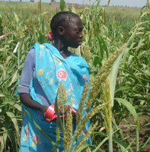 A woman in her crop