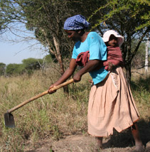 A baby on the back of a woman with a hoe