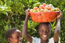 A boy has a basket full of fruits on his head