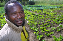 A man and his crop