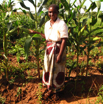 A lady in her crop
