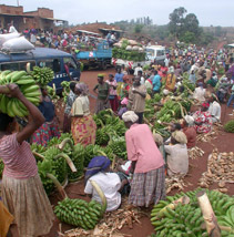 Banana market