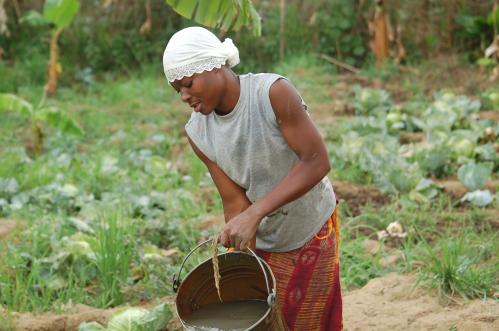 Women in field with bucket, Ghana