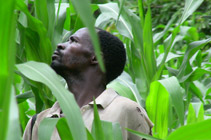 Man amongst plants