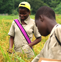 Children studying crop